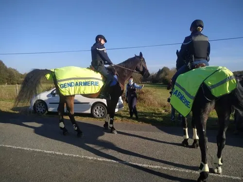 Jeune fille mayennaise retrouvée vivante : elle aurait échappé à...